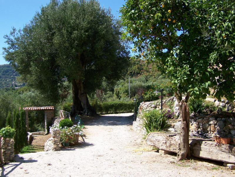 Agrestis Domus Guest House San Giovanni a Piro Exterior photo